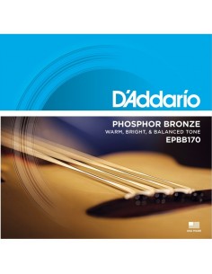 D'ADDARIO EPBB170 PHOSPHOR BRONZE ACOUSTIC BASS 45-100 Regular Light