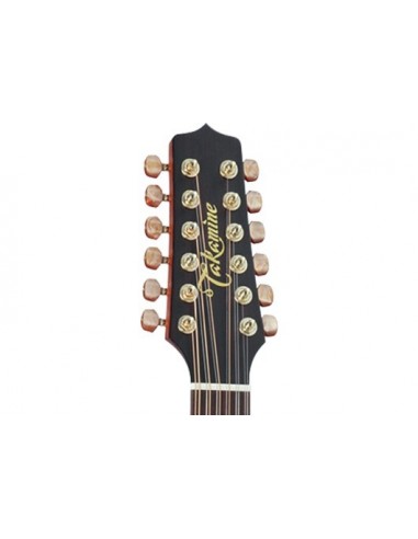 Takamine P3DC12