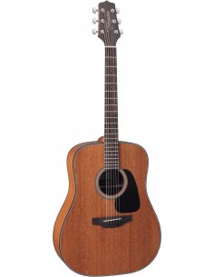 Takamine GD11MNS