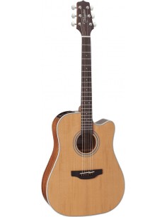 Takamine GD20CENS