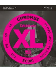 D'ADDARIO ECB81 FILET PLAT STAINLESS STEEL 45-100