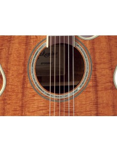 TAKAMINE EF508KC 2