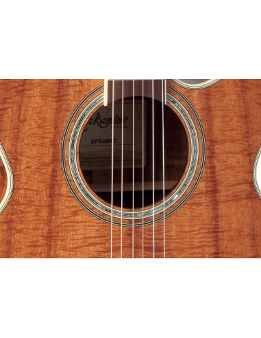 TAKAMINE EF508KC