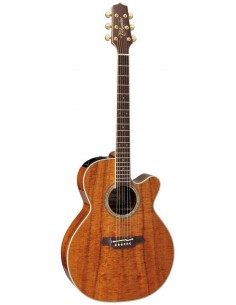 TAKAMINE EF508KC