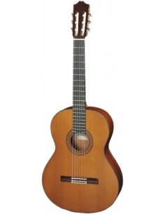 Cuenca 40-R Cèdre