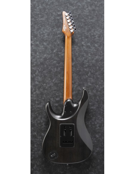 IBANEZ PREMIUM ERICK HANSEL EH10-TGM TRANSPARENT GREEN MATTE