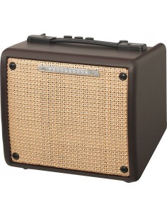 Ibanez T15II Acoustic Combo