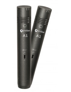 PRODIPE A1 DUO paire micros instruments.