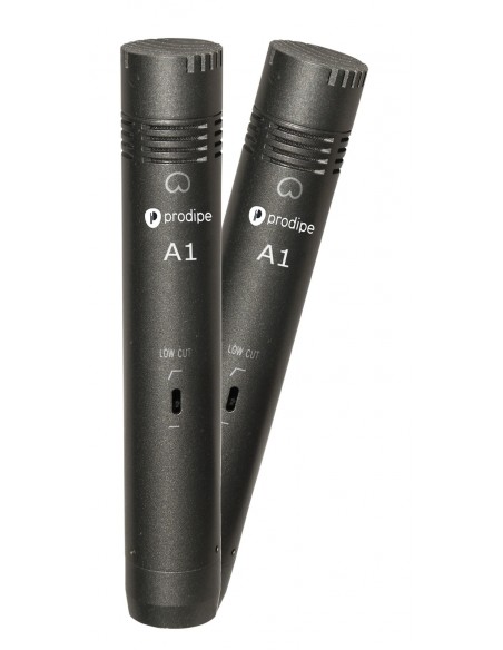 PRODIPE A1 DUO paire micros instruments.