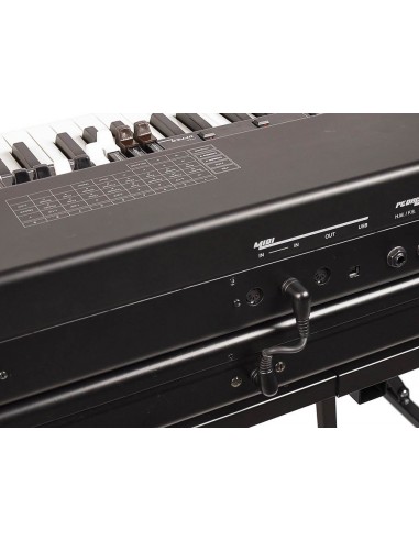 CRUMAR MOJO 61B Lower Manual