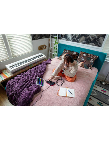 ROLAND E4 BLOCK VOCAL