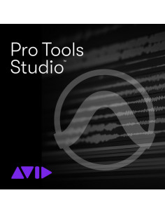 AVID PRO TOOLS STUDIO PERPETUAL