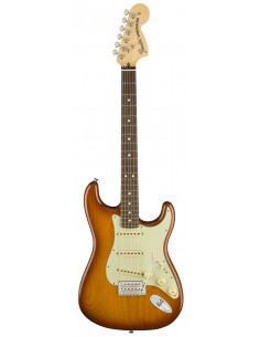 FENDER AMERICAN PERFORMER STRATOCASTER USA RW HONEY BURST