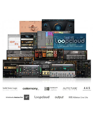 SOLID STATE LOGIC SSL 12 - Interface audio USB pro - Steelmusic.fr