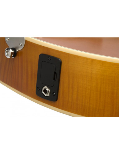 EPIPHONE MASTERBILT CENTURY ZENITH NATURAL