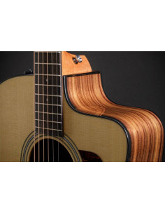 TAYLOR 210CE PLUS AEROCASE 2