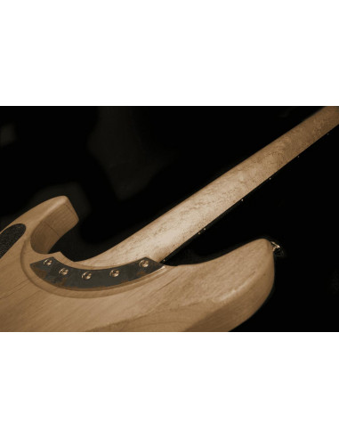 WASHBURN SIGNATURE NUNO BETTENCOURT US N4 AUTHENTIC