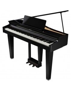 ROLAND GP-3