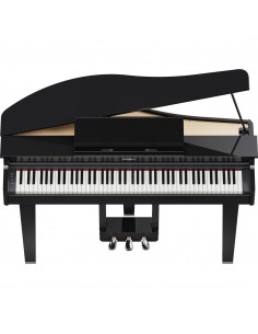 ROLAND GP-3 2