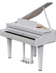 ROLAND+GP6+BLANC+1