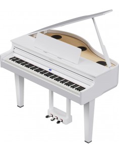 ROLAND+GP6+BLANC+1 2