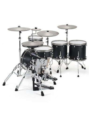 EFNOTE 5X BLACK OAK BATTERIE ELECTRONIQUE