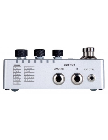 MOOER GROOVE LOOP X2