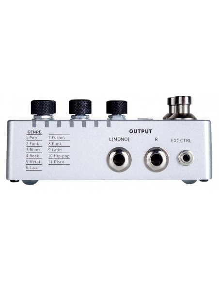 MOOER GROOVE LOOP X2