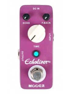 MOOER ECHOLIZER