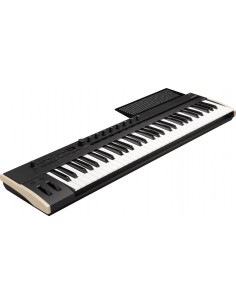 KORG KEYSTAGE 61 2