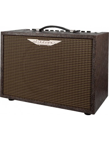 ASHDOWN WOODSMAN CLASSIC 40W