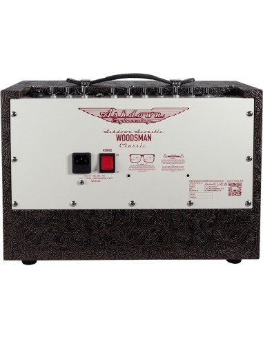 ASHDOWN WOODSMAN CLASSIC 40W