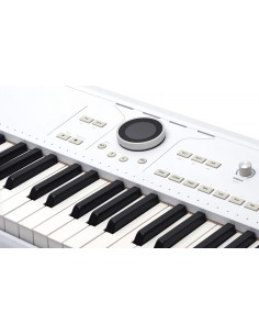 ARTURIA ASTROLAB 61 WH 2