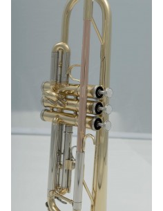 SML PARIS TP300 - SIB VERNIE 2