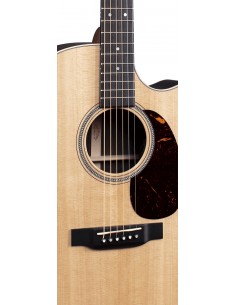 MARTIN GPC-16E ROSEWOOD 2