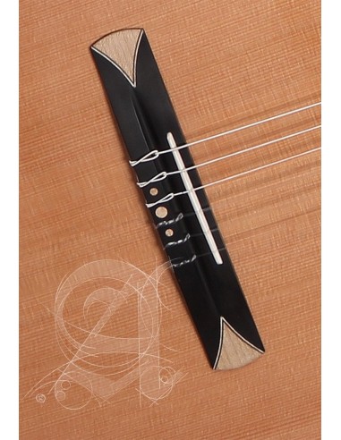 ALHAMBRA CS-3 CW E8 CROSSOVER CHEVALET