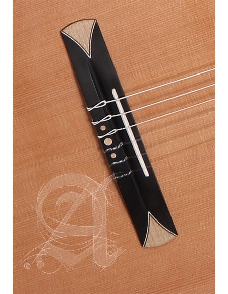 ALHAMBRA CS-3 CW E8 CROSSOVER CHEVALET