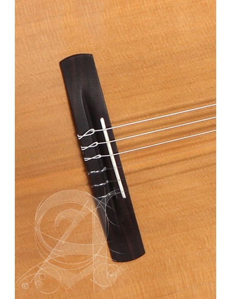 ALHAMBRA CS-LR CW E1 CROSSOVER  CHEVALET