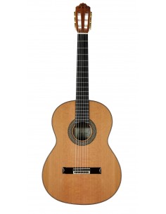 ESTEVE MOD.12 Cèdre + soft case