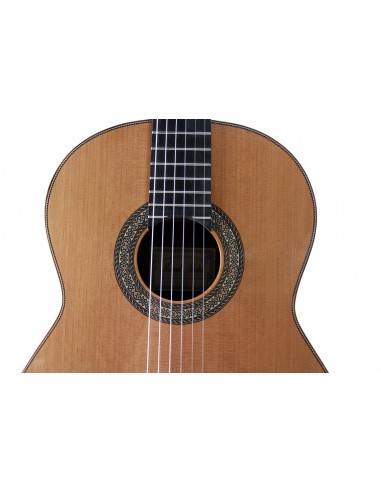 ESTEVE MOD.12 Cèdre + soft case