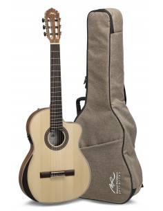 MANUEL RODRIGUEZ Ecologia Samba Plano Truss Rod