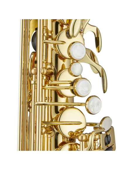 ANTIGUA AS3108-LQGH - Alto Laiton Verni ANTIGUA AS3108-LQGH - Alto Laiton Verni