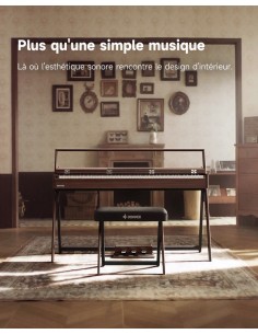 DONNER OURA R300 Brown 2