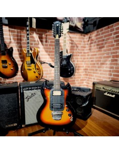 IBANEZ - 12 CORDES TYPE SG 70 DIY 