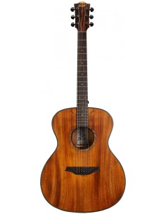 Bromo BAT2M Guitare acoustique folk - Toulon Var