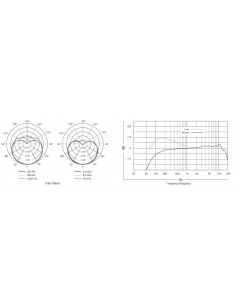Shure BETA 87A 2