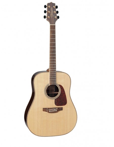 Takamine GD93NAT