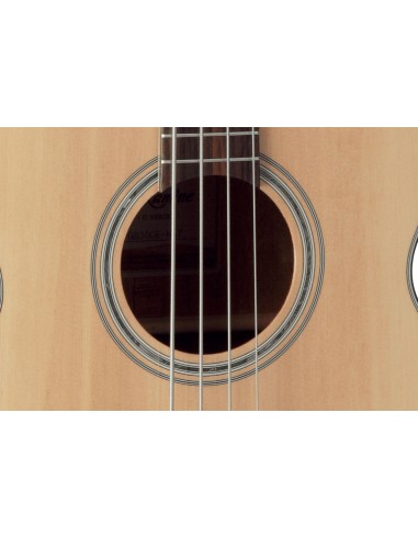 Takamine GB30CENAT
