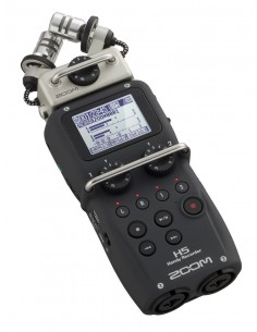 ZOOM H5