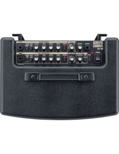 ROLAND AC60 2